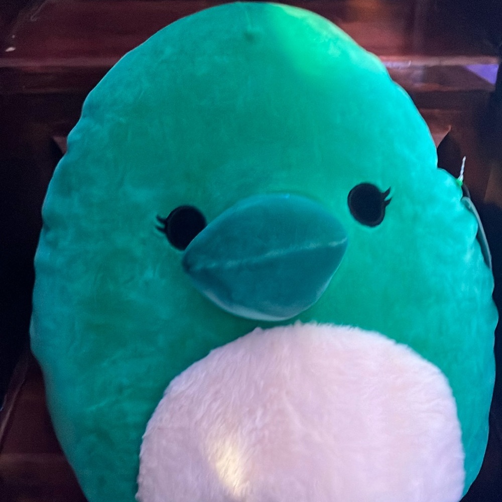 Selassi the platypus (14 inches)